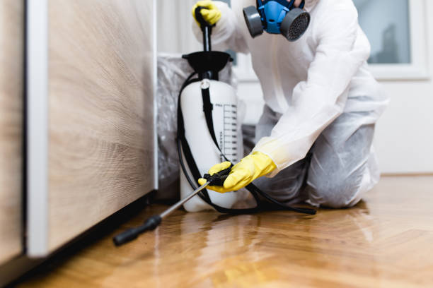  Anthony, TX Pest Control Pros