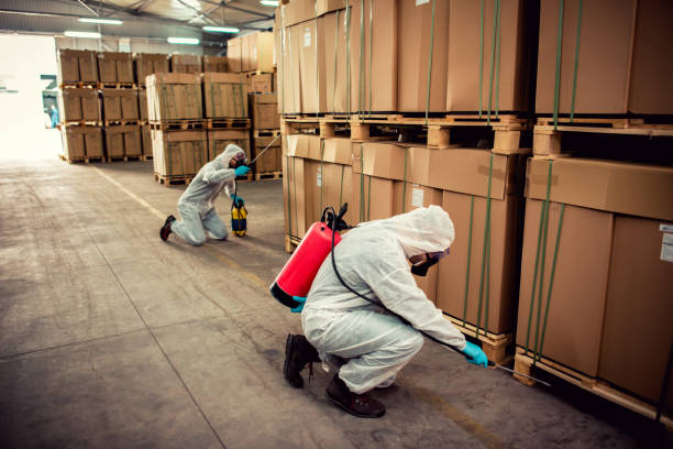 Best Pest Control Treatment  in Anthony, TX