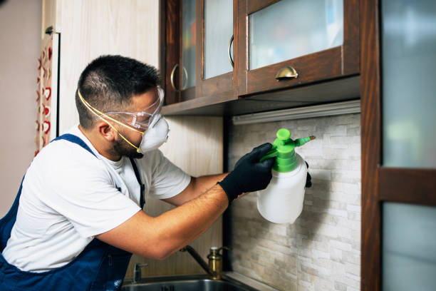 Wildlife Control Services in Anthony, TX
