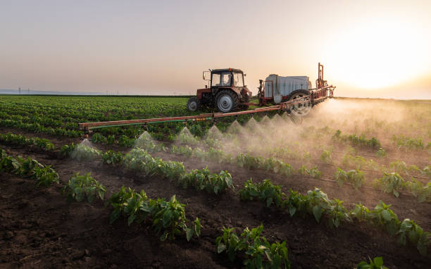 Best Commercial Pest Control Services  in Anthony, TX