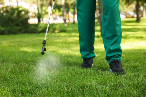 Best Termite Control Services  in Anthony, TX